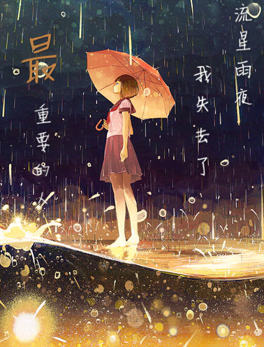 流星雨夜，我失去了最重要的人
