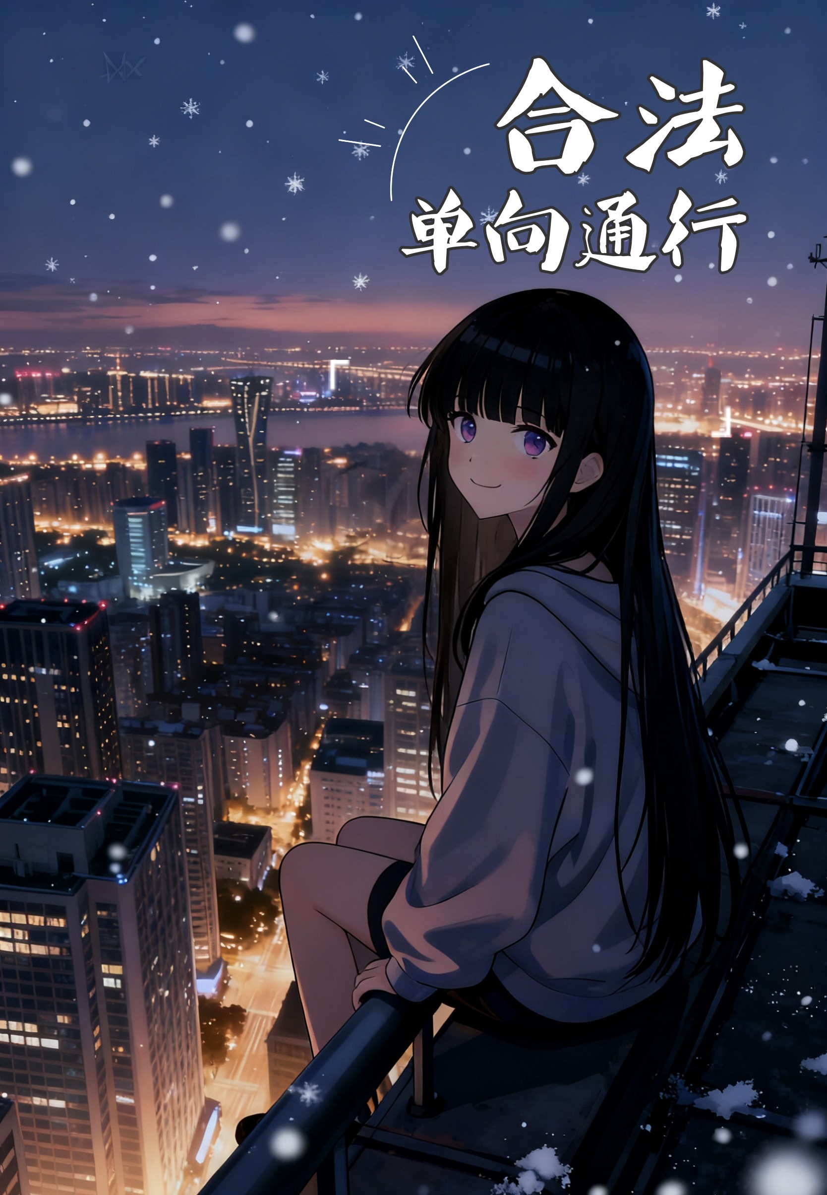 合法单向通行