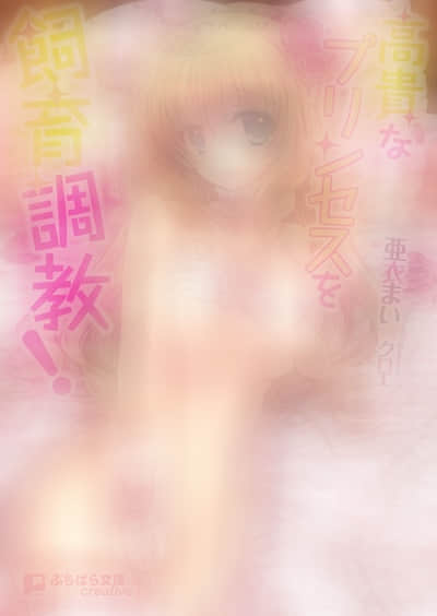 高贵公主的饲养调教！