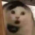 麻勾