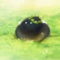 akikun