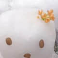 坐照