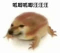 笨蛋总监九九酱
