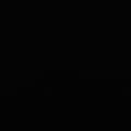 小黑兔子