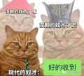 钱钱钱钱