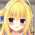 一番の枫